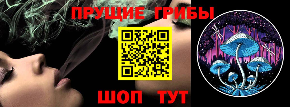 Аргун  Псилоцибиновые грибы GOLDEN TEACHER  Вход с VPN 